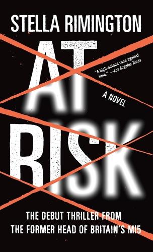 At Risk by Stella Rimington