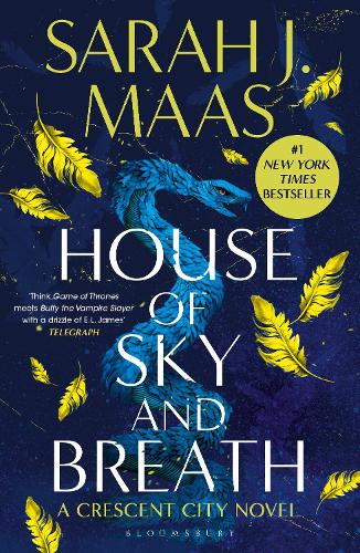 House of Sky and Breath by Sarah J Maas