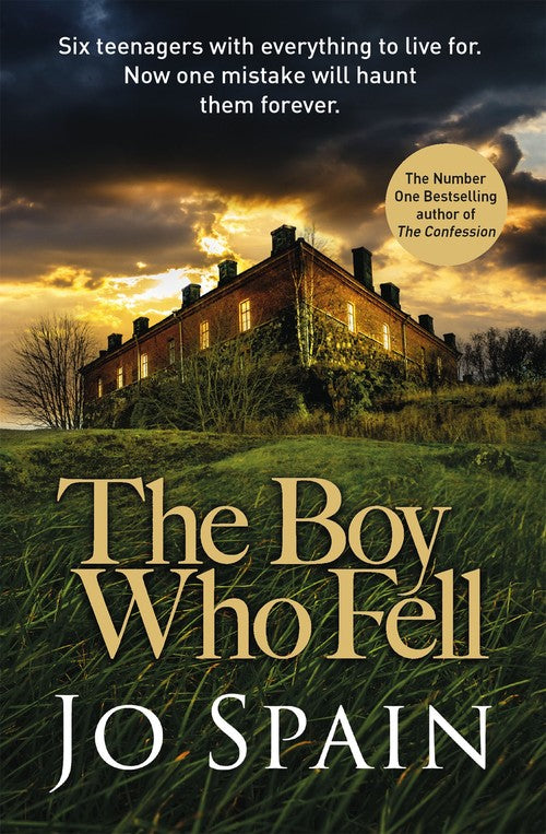 The Boy Who Fell by Jo Spain