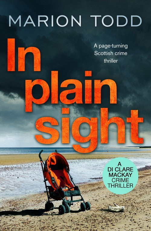 In Plain Sight by Marion Todd