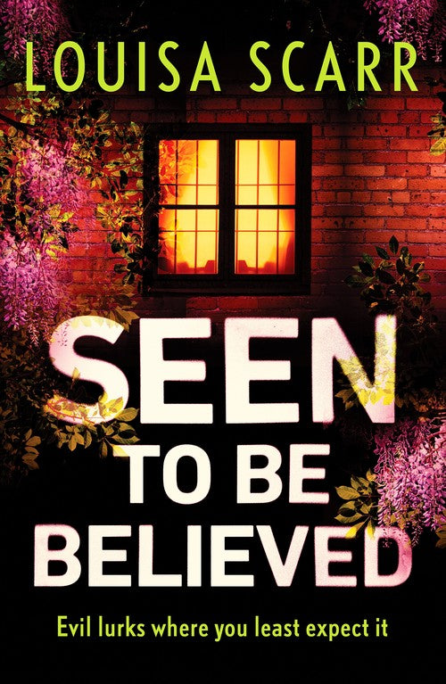 Seen to Be Believed by Louisa Scarr