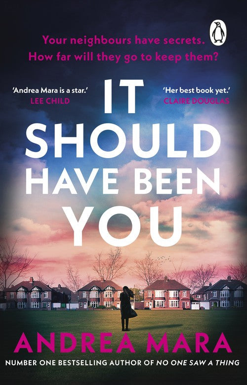 It Should Have Been You by Andrea Mara