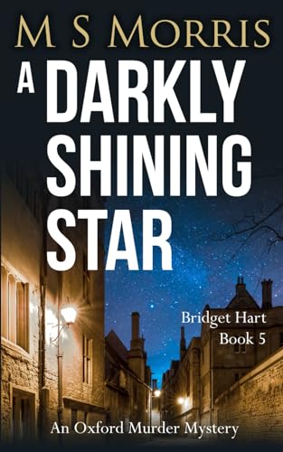 A Darkly Shining Star by M S Morris