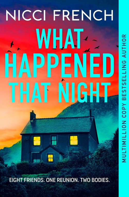 What Happened that Night by Nicci French