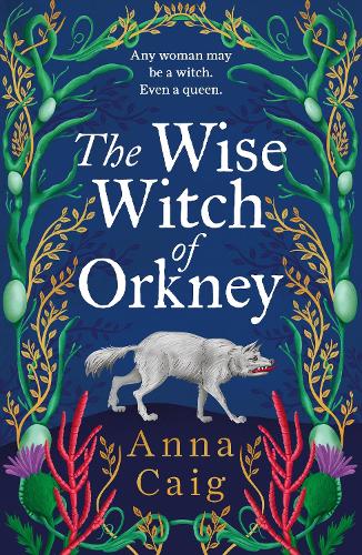 The Wise Witch of Orkney by Anna Caig