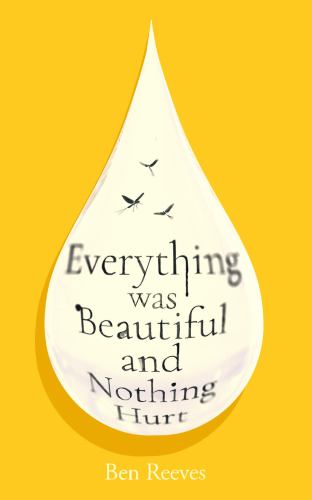 Everything was Beautiful and Nothing Hurt by Ben Reeves
