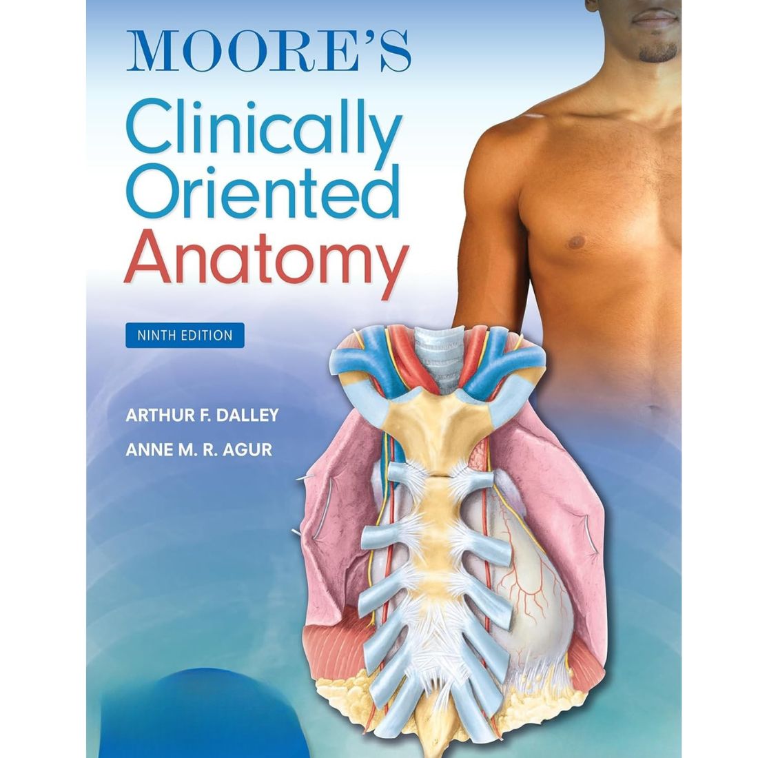 Moore's Clinically Oriented Anatomy 9th Edition by Dalley & Agur (2023)