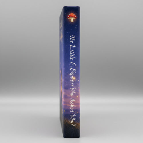 The Girl Who Collected Stars Hardcover Bedtime Story Book for Kids