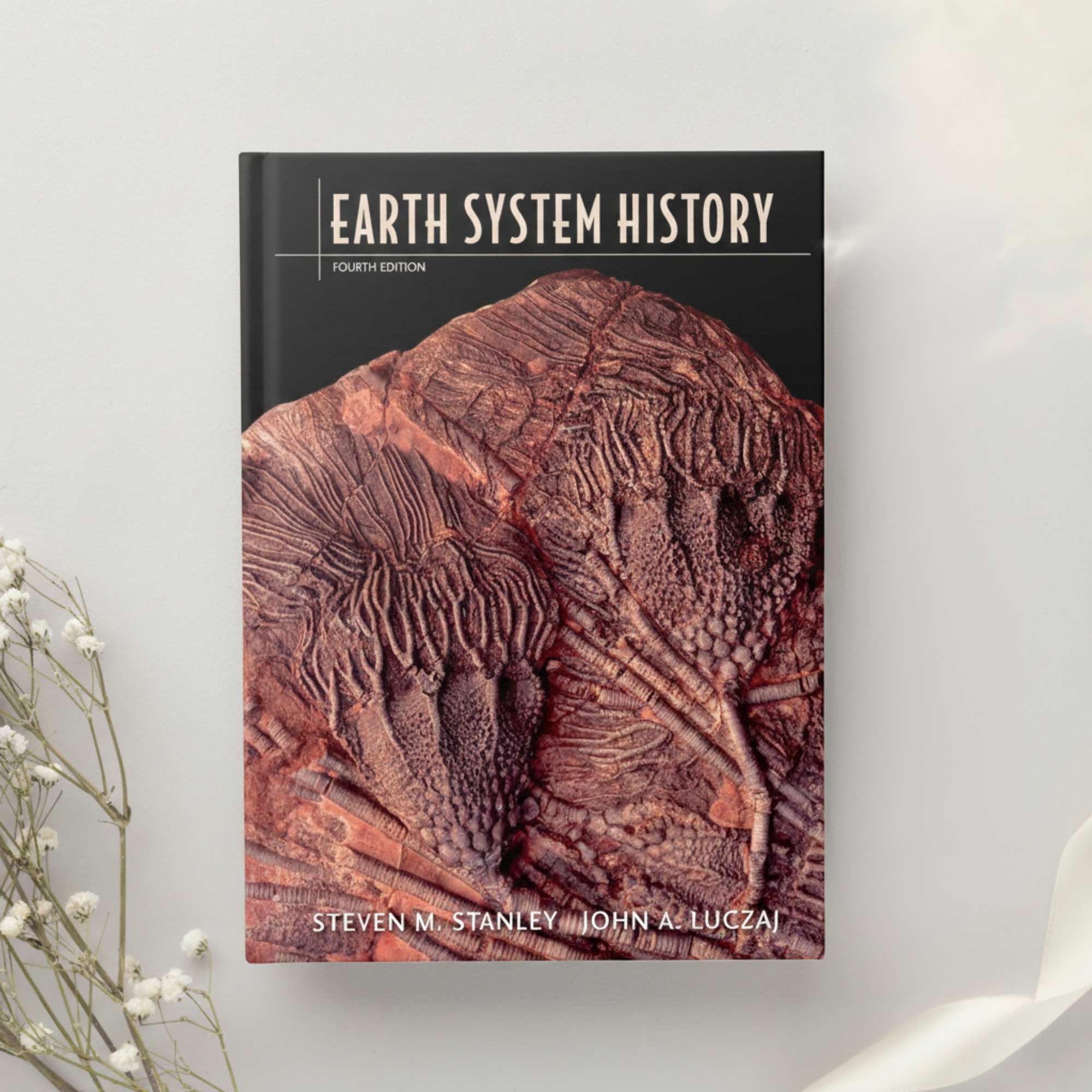 Earth System History 4th Edition by Steven M. Stanley & John A. Luczaj (2014)