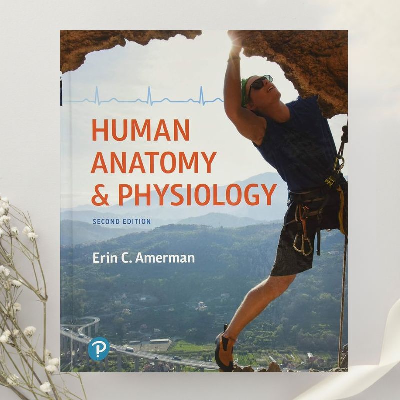 Human Anatomy & Physiology 2nd Edition by Erin Amerman (2018)