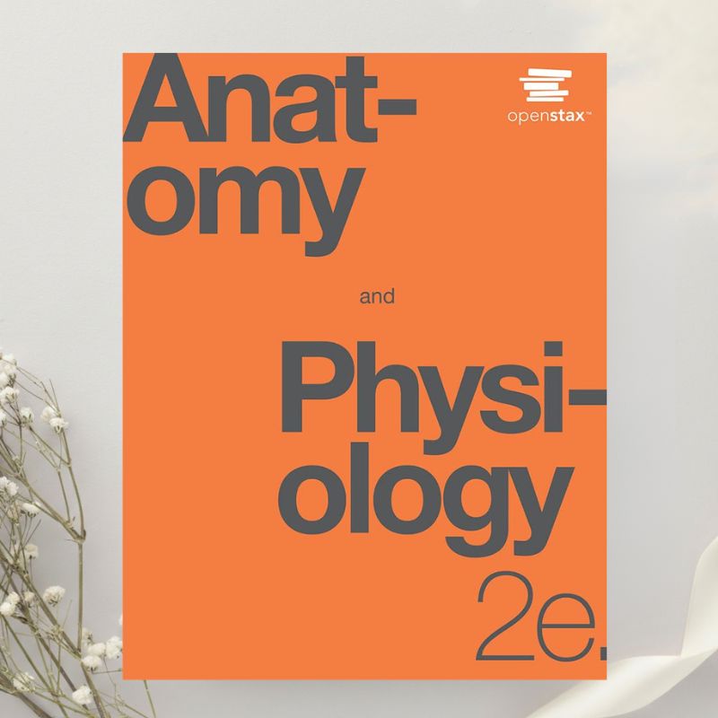 OpenStax: Anatomy and Physiology 2nd Edition by Betts et al. (2022)
