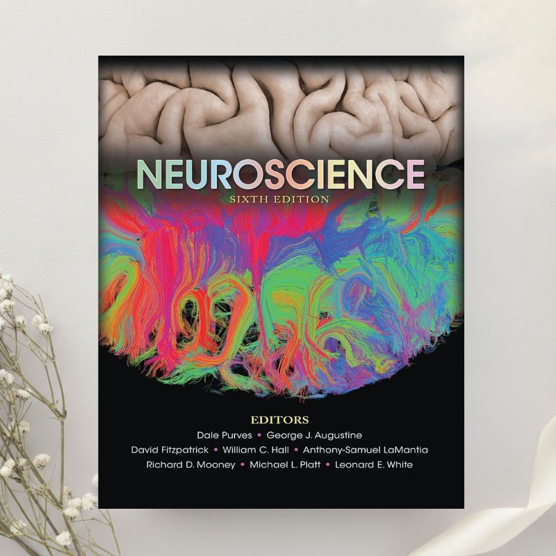 Neuroscience 6th Edition by Purves, Augustine, Fitzpatrick, Hall et al. (2017)