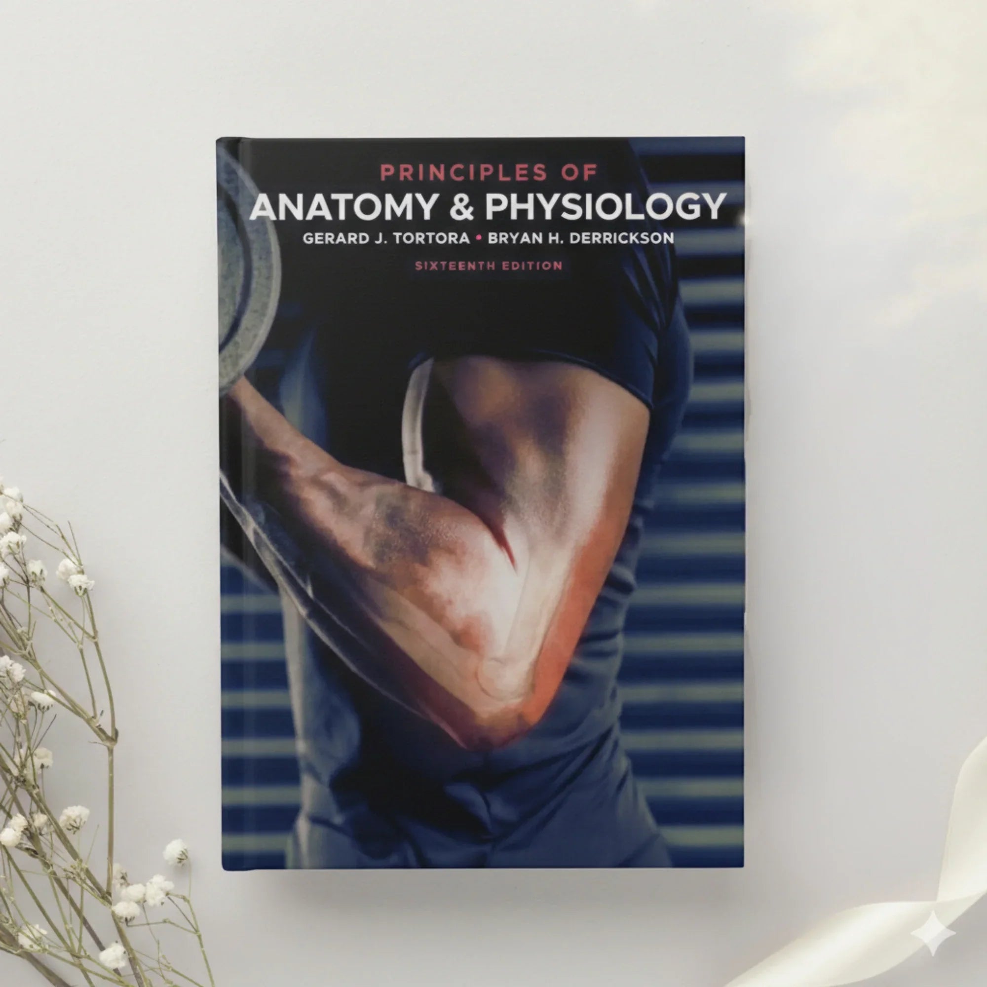 Principles of Anatomy and Physiology 16th Edition
